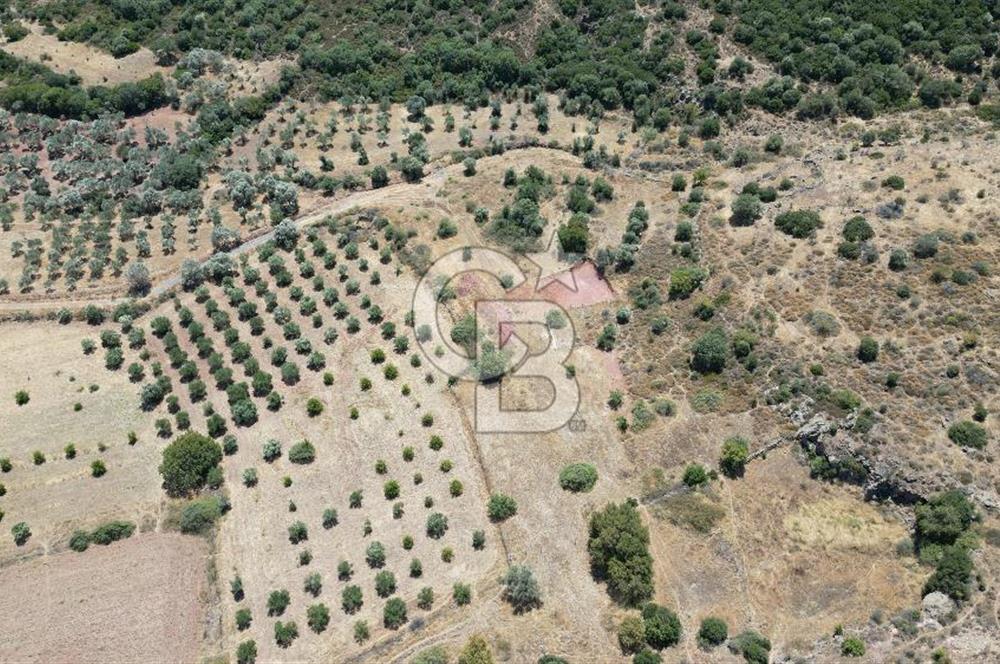 FOÇA YENİBAĞARASI’NDA HOBİ AMAÇLI TARLA