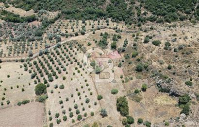 FOÇA YENİBAĞARASI’NDA HOBİ AMAÇLI TARLA