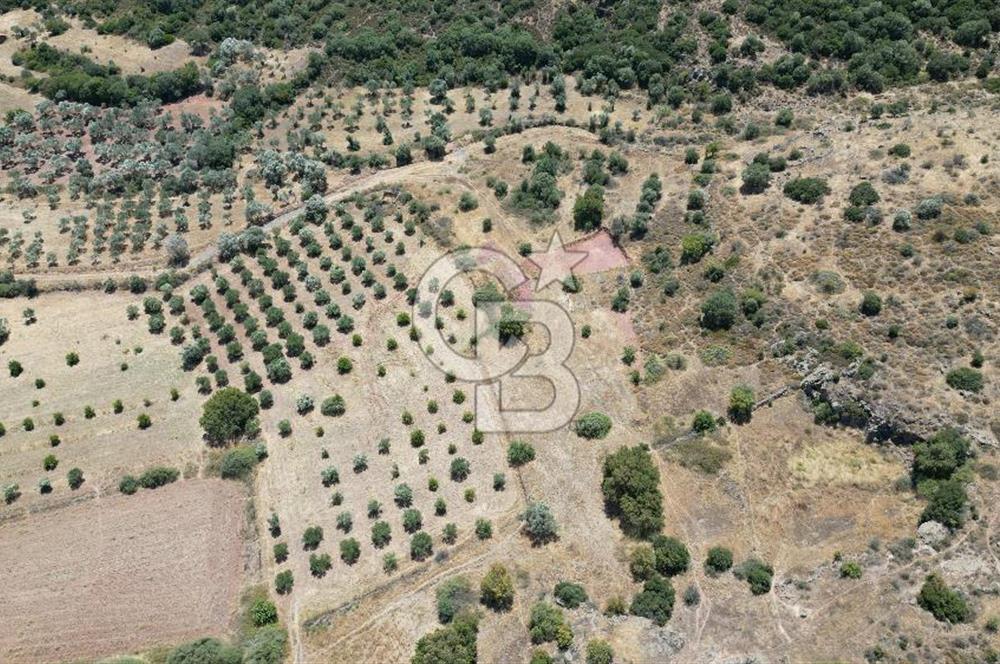 FOÇA YENİBAĞARASI’NDA HOBİ AMAÇLI TARLA