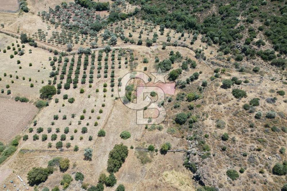 FOÇA YENİBAĞARASI’NDA HOBİ AMAÇLI TARLA