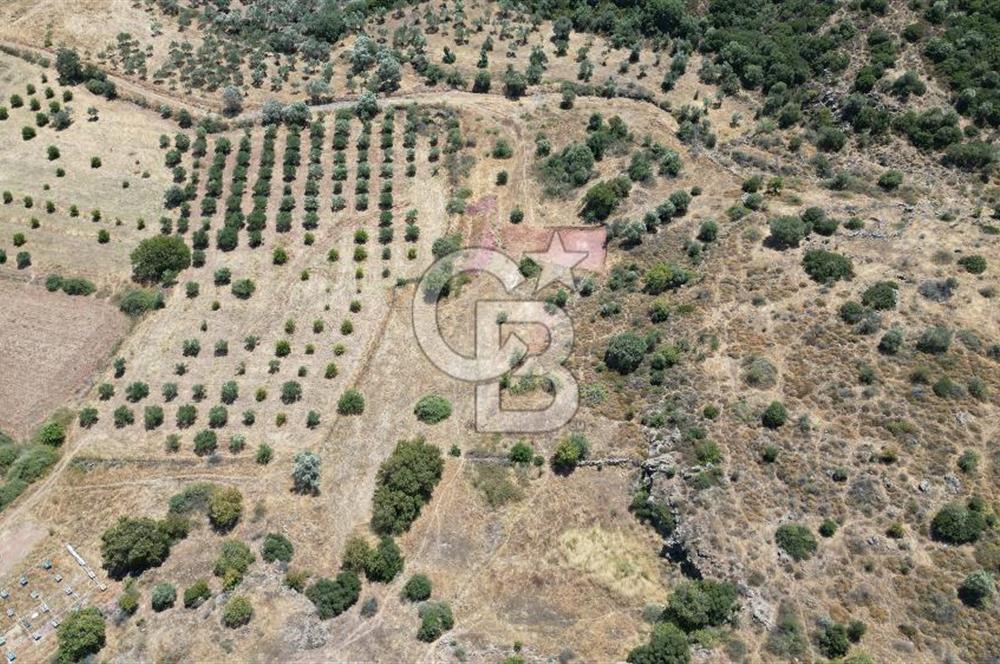 FOÇA YENİBAĞARASI’NDA HOBİ AMAÇLI TARLA