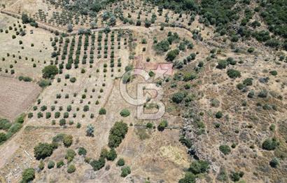 FOÇA YENİBAĞARASI’NDA HOBİ AMAÇLI TARLA