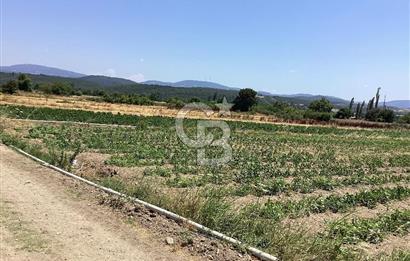 YENİ YAPILACAK OTOBAN YANİ, KADASTRAL YOLA CEPHELİ SATILIK TARLA