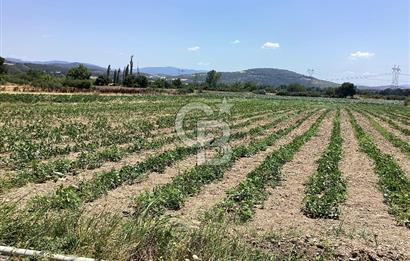 YENİ YAPILACAK OTOBAN YANİ, KADASTRAL YOLA CEPHELİ SATILIK TARLA