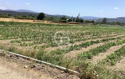 YENİ YAPILACAK OTOBAN YANİ, KADASTRAL YOLA CEPHELİ SATILIK TARLA