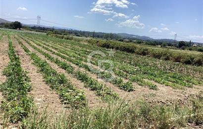 YENİ YAPILACAK OTOBAN YANİ, KADASTRAL YOLA CEPHELİ SATILIK TARLA