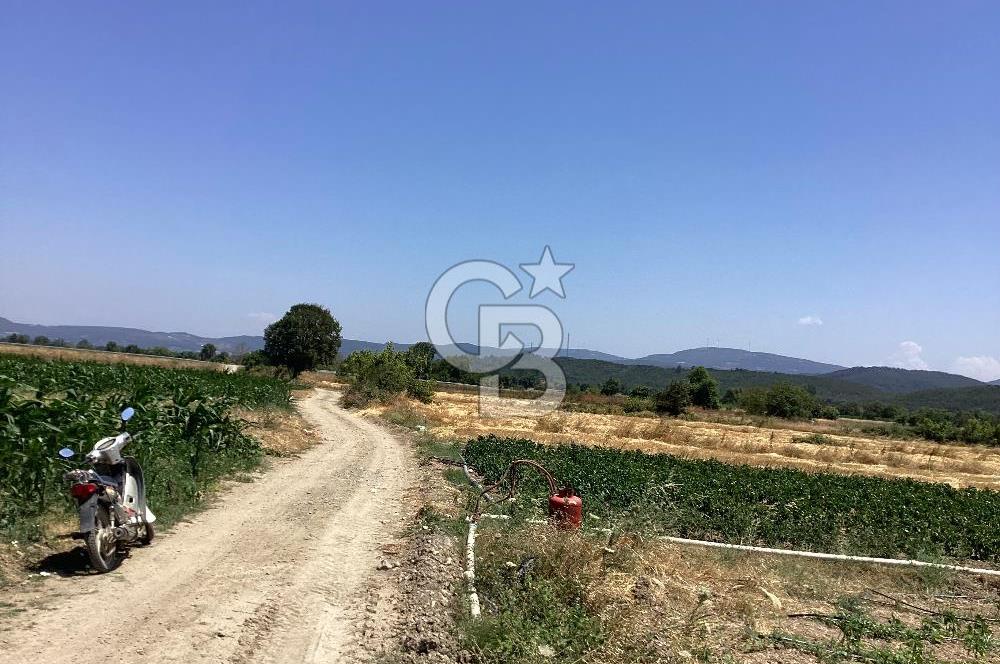 YENİ YAPILACAK OTOBAN YANİ, KADASTRAL YOLA CEPHELİ SATILIK TARLA