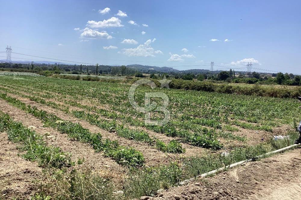 YENİ YAPILACAK OTOBAN YANİ, KADASTRAL YOLA CEPHELİ SATILIK TARLA