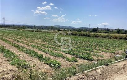 YENİ YAPILACAK OTOBAN YANİ, KADASTRAL YOLA CEPHELİ SATILIK TARLA