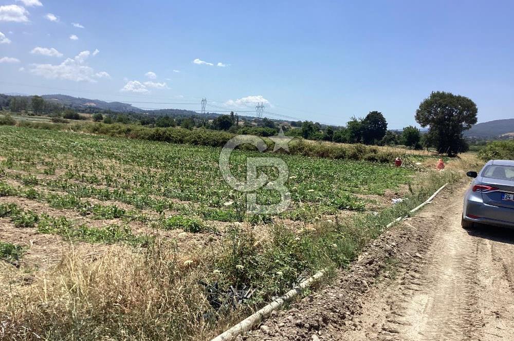 YENİ YAPILACAK OTOBAN YANİ, KADASTRAL YOLA CEPHELİ SATILIK TARLA