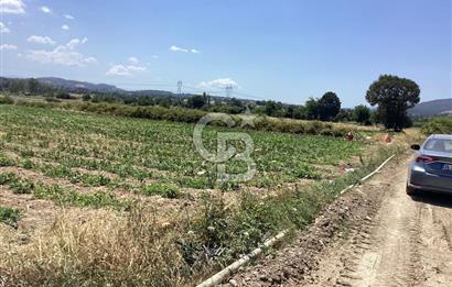 YENİ YAPILACAK OTOBAN YANİ, KADASTRAL YOLA CEPHELİ SATILIK TARLA