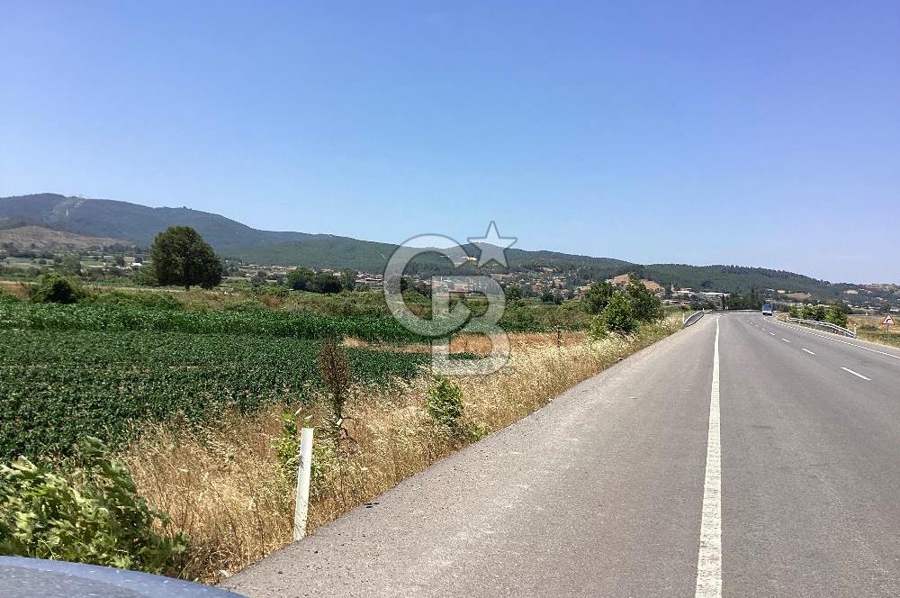 YENİ YAPILACAK OTOBAN YANİ, KADASTRAL YOLA CEPHELİ SATILIK TARLA