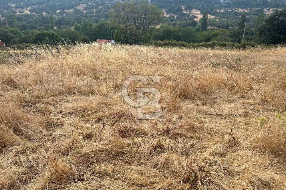 ÇANAKKALE / BAYRAMİÇ/ ÇALDAĞ KÖYÜN’DE SATILIK ARSA