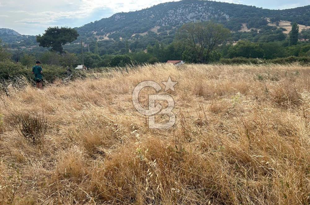 ÇANAKKALE / BAYRAMİÇ/ ÇALDAĞ KÖYÜN’DE SATILIK ARSA