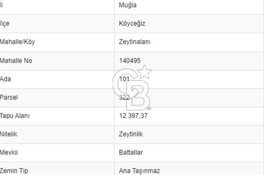 Köyceğiz Zeytinalanın da Göl Manzaralı zeytinlik