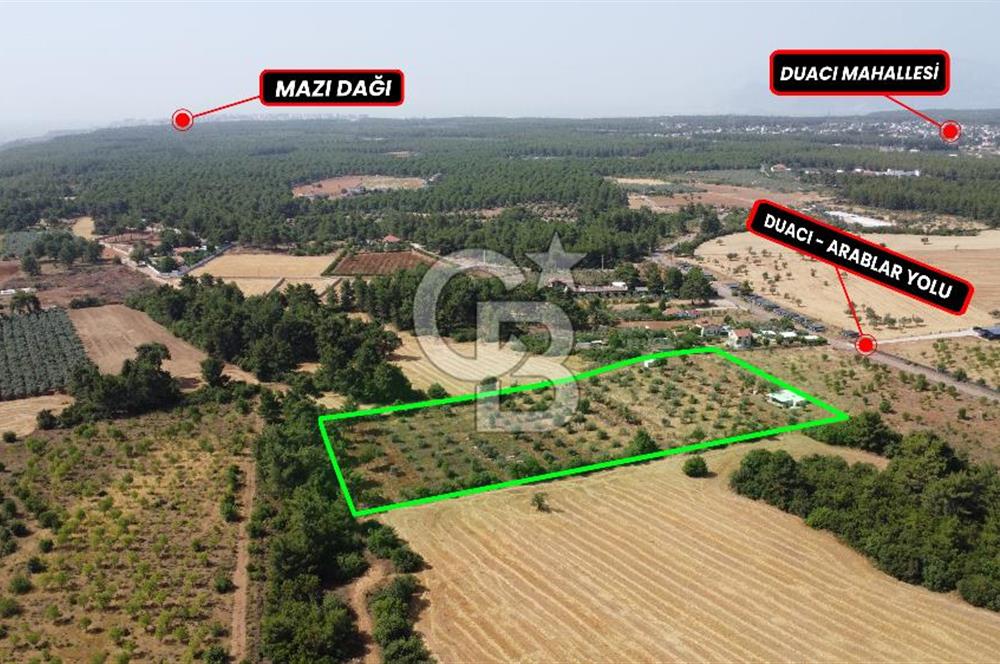 ONUR ŞİMŞEK'TEN DUACI'DA RIZAİ TAKSİMLİ 3.230 m2 SATILIK TARLA