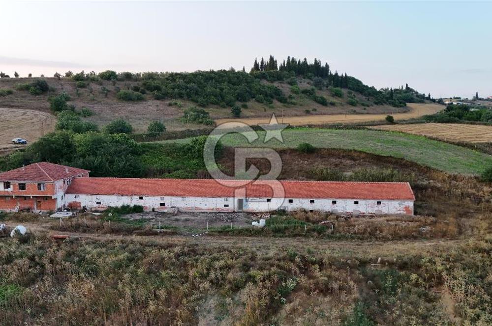 Yalova Çiftlikköyde 47.375m2 Arazi İçerisinde Satılık Çiftlik!