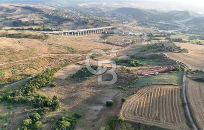 Yalova Çiftlikköyde 47.375m2 Arazi İçerisinde Satılık Çiftlik!