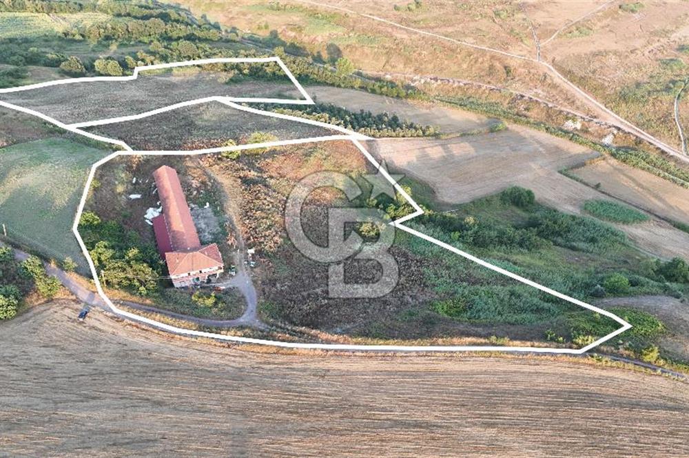 Yalova Çiftlikköyde 47.375m2 Arazi İçerisinde Satılık Çiftlik!