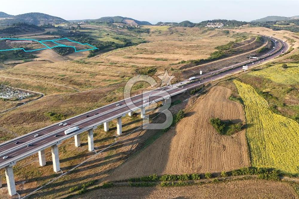 Yalova Çiftlikköyde 47.375m2 Arazi İçerisinde Satılık Çiftlik!