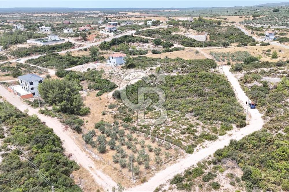 Didim Akyeniköy'de 610 m² Villa İmarlı Arsa