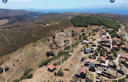 Karaburun Parlak Köyü'nde Numaratajlı Kargir Ev ve Bahçesi