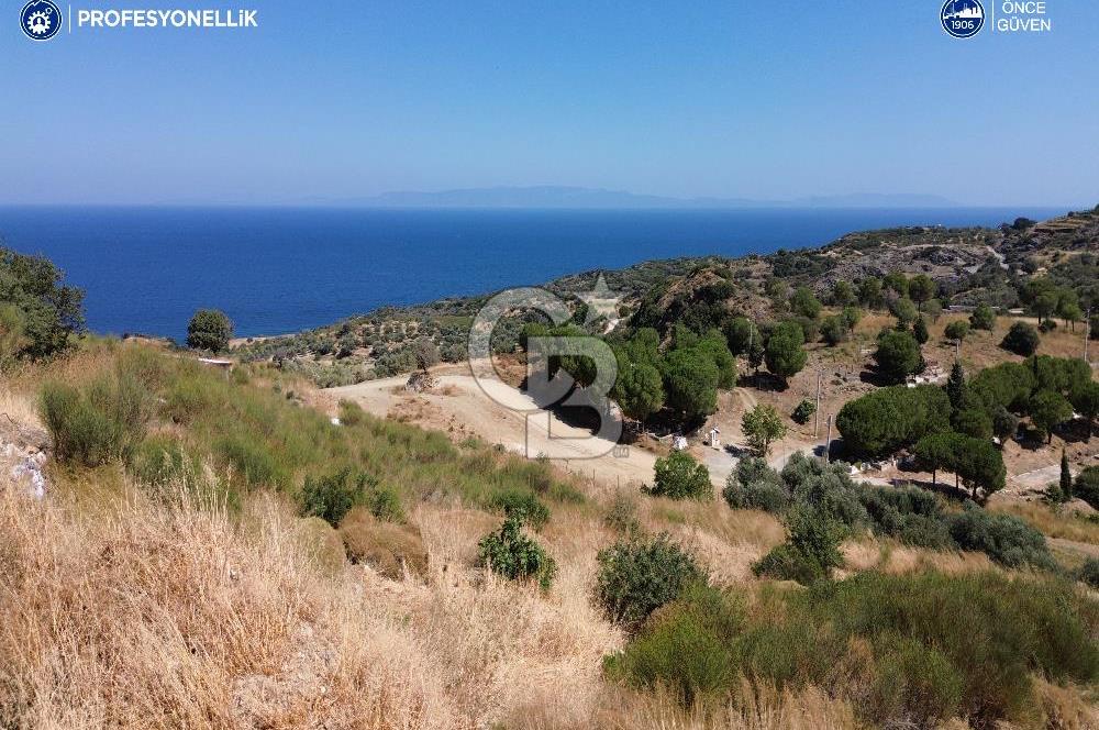 Karaburun Hasseki'de Full Deniz Manzaralı İmarlı Arsalar