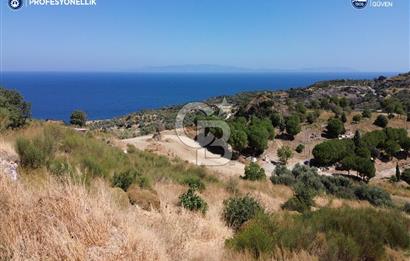 Karaburun Hasseki'de Full Deniz Manzaralı İmarlı Arsalar