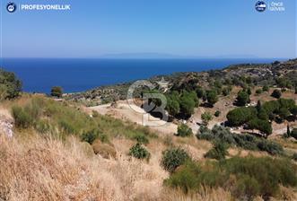 Karaburun Hasseki'de Full Deniz Manzaralı İmarlı Arsalar