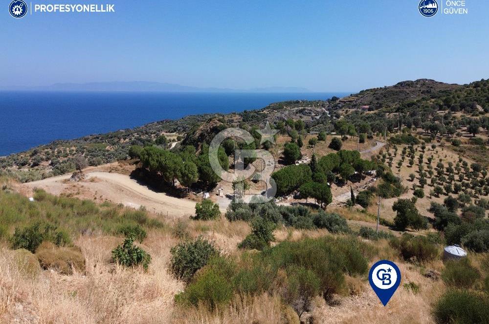 Karaburun Hasseki'de Full Deniz Manzaralı İmarlı Arsalar