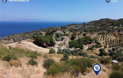 Karaburun Hasseki'de Full Deniz Manzaralı İmarlı Arsalar