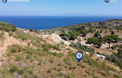 Karaburun Hasseki'de Full Deniz Manzaralı İmarlı Arsalar