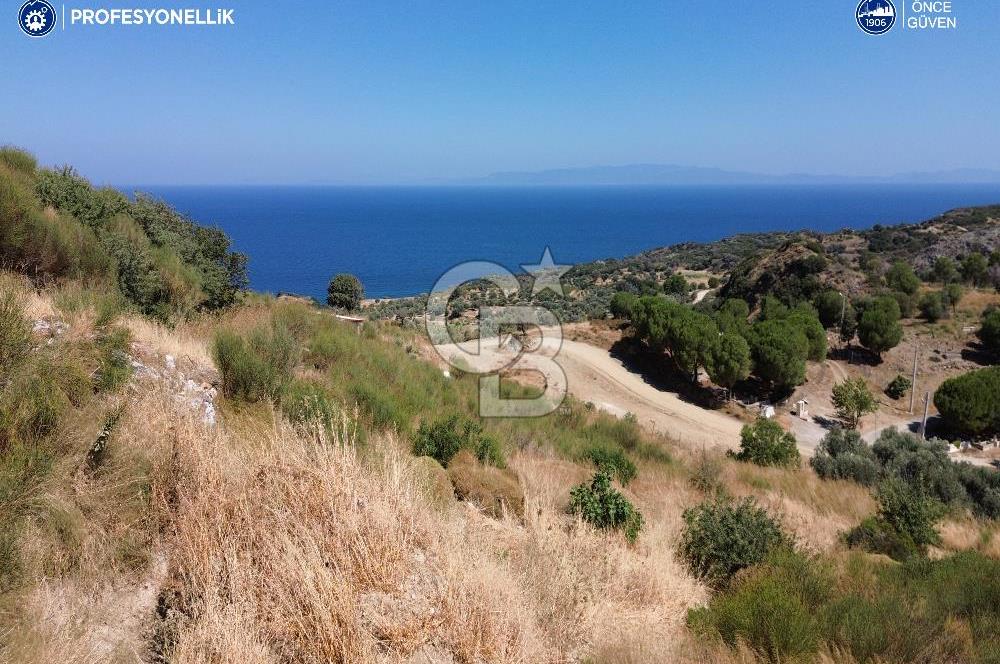 Karaburun Hasseki'de Full Deniz Manzaralı İmarlı Arsalar