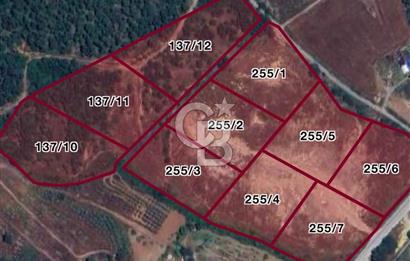 MUSELAND- MENDERES YENİKÖY'DE 5.000m2 SATILIK MÜSTAKİL PARSEL