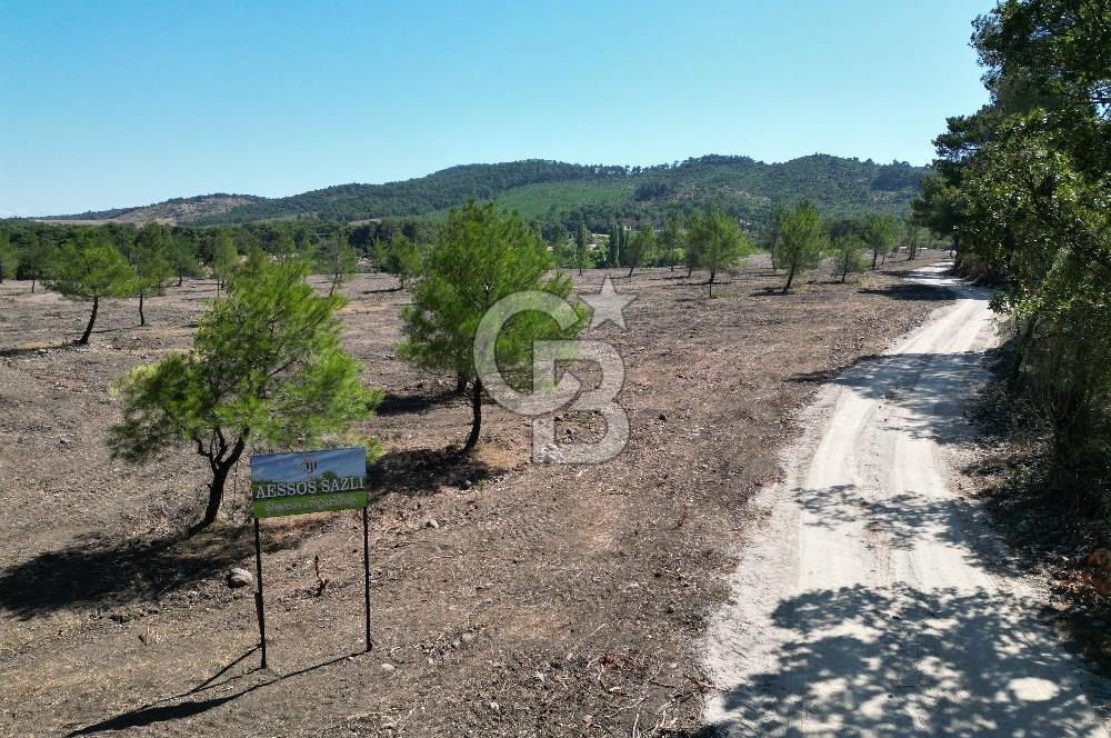 ÇANAKKALE ASSOS SAZLI'DA EKO-TURİZM İMARLI SATILIK ARSA