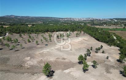 ÇANAKKALE ASSOS SAZLI'DA EKO-TURİZM İMARLI SATILIK ARSA