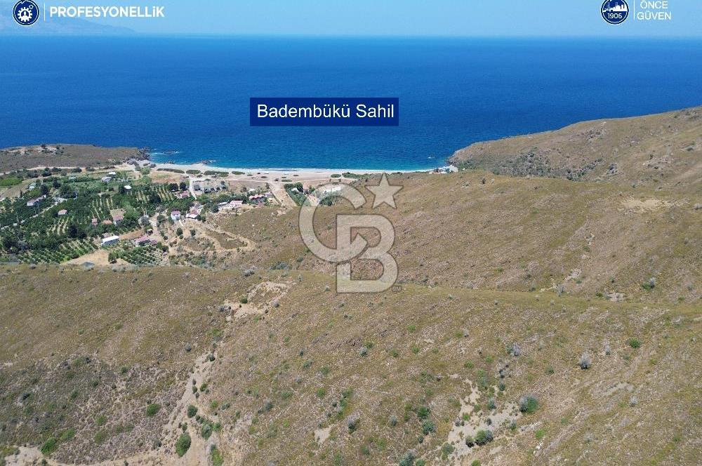 Karaburun Badembükü'nde Panoramik Deniz Manzaralı Zeytinlik