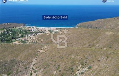 Karaburun Badembükü'nde Panoramik Deniz Manzaralı Zeytinlik