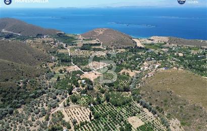 Karaburun Badembükü'nde Panoramik Deniz Manzaralı Zeytinlik