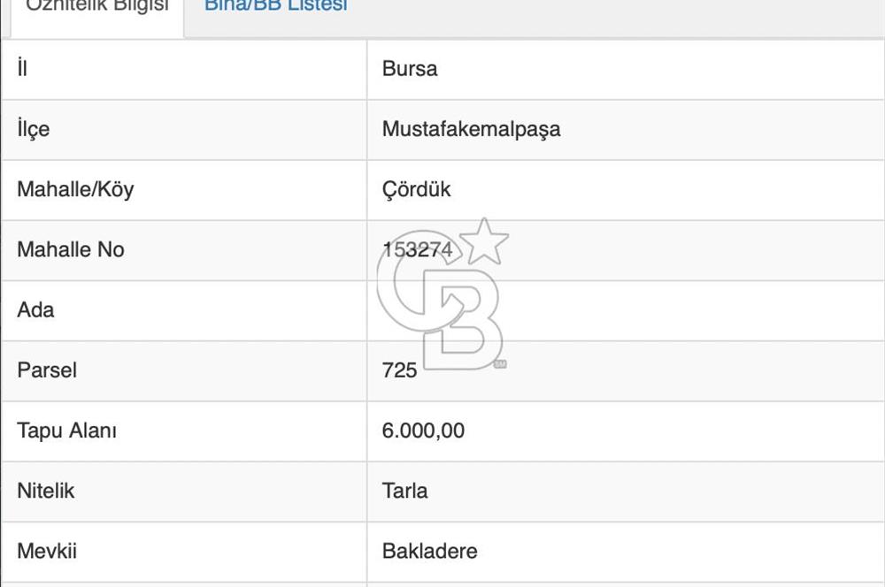 CB ADDRESS'ten BURSA, MUSTAFAKEMALPAŞA'da SATILIK ZEYTİNLİK