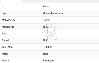 CB ADDRESS'ten BURSA, MUSTAFAKEMALPAŞA'da SATILIK ZEYTİNLİK