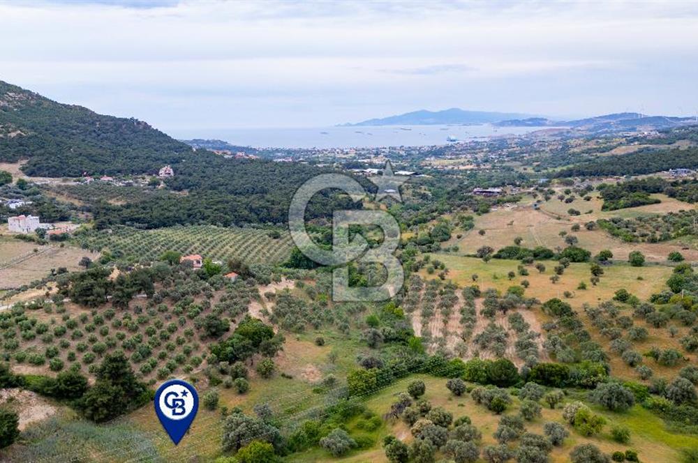 Foça Kozbeyli Mevkiinde Satılık Tarla