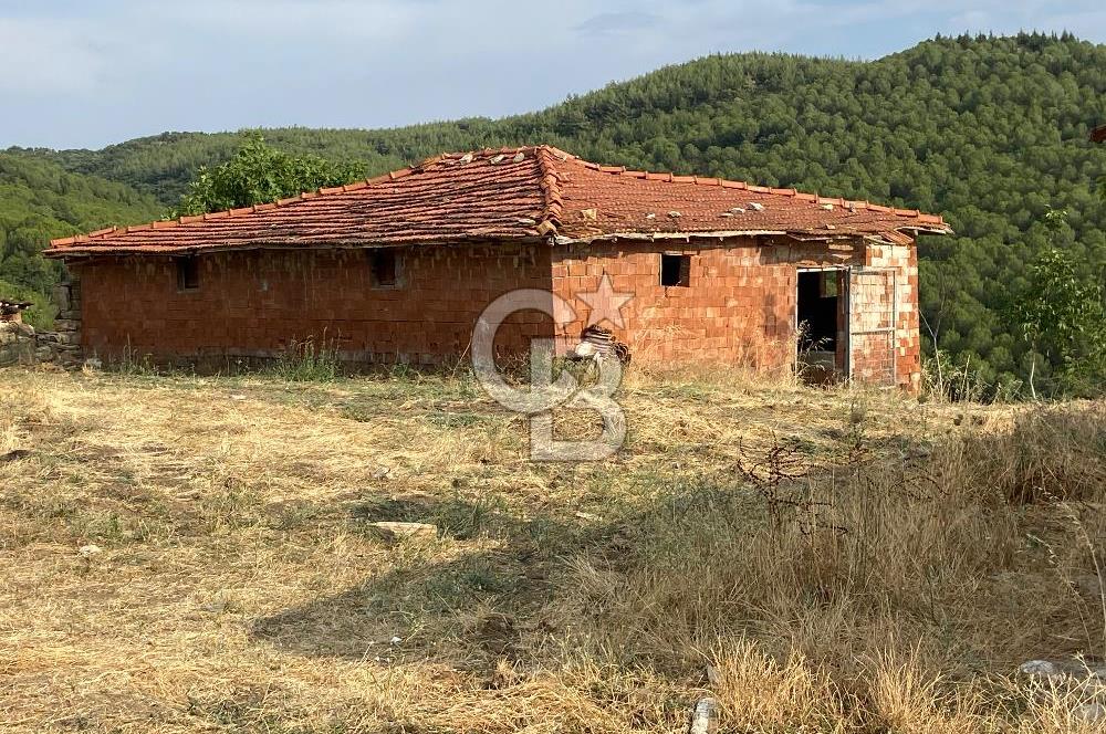 Manisa Gördes’te Ceviz, Badem ve Meyve Bahcesi