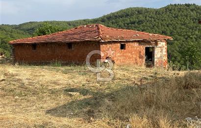 Manisa Gördes’te Ceviz, Badem ve Meyve Bahcesi