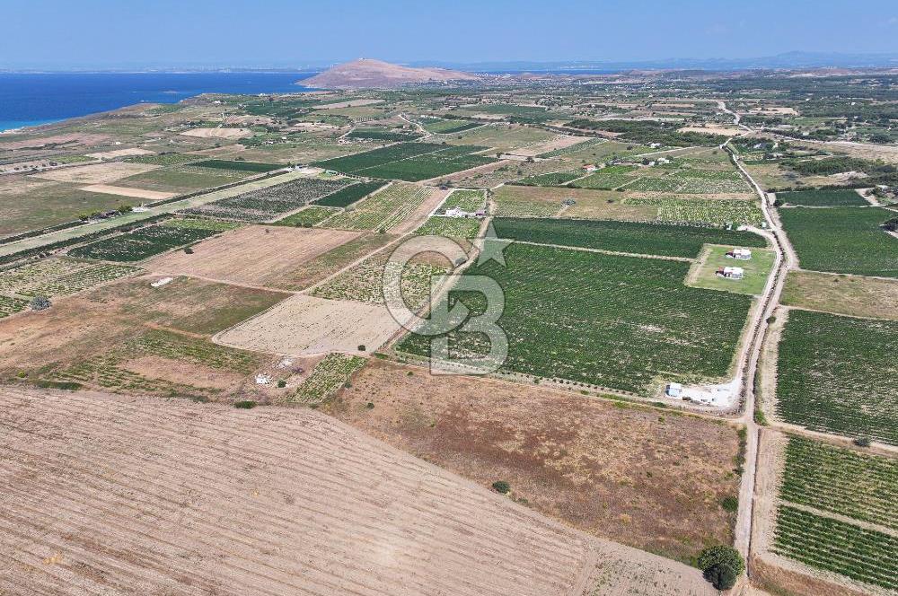 ÇANAKKALE BOZCAADA OVA MEVKİİ'NDE 10.822 M2 SATILIK ARSA