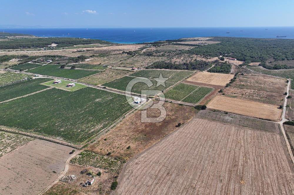 ÇANAKKALE BOZCAADA OVA MEVKİİ'NDE 10.822 M2 SATILIK ARSA