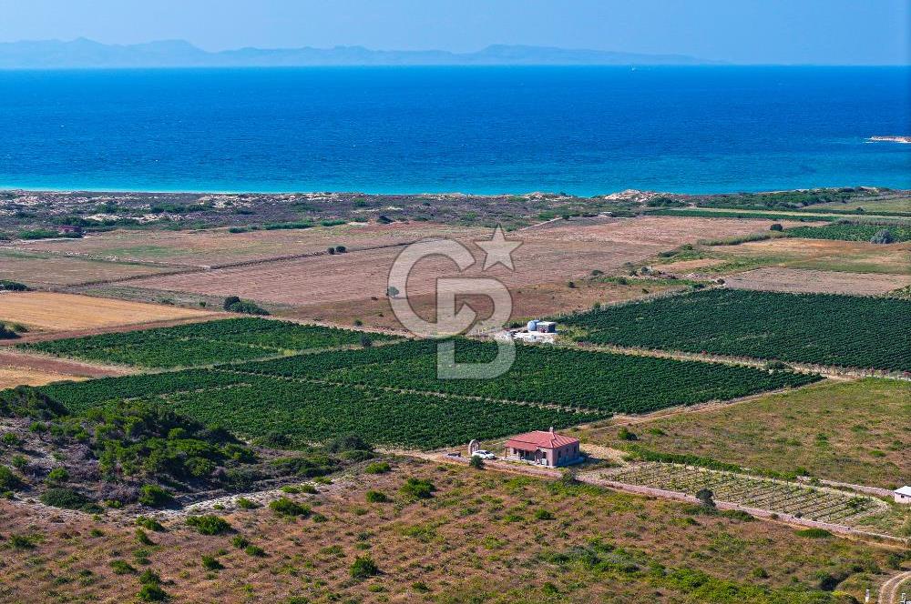 BOZCAADA OVA MEVKİİ'NDE DENİZE YAKIN 3710M2 SATILIK ARSA!