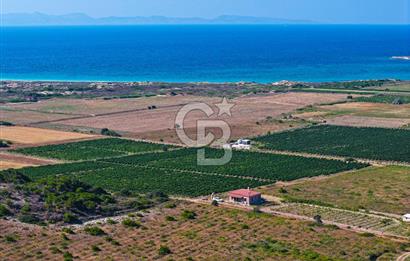 BOZCAADA OVA MEVKİİ'NDE DENİZE YAKIN 3710M2 SATILIK ARSA!