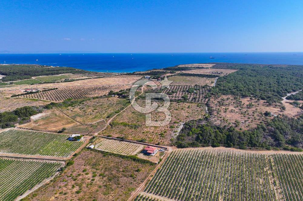 BOZCAADA OVA MEVKİİ'NDE DENİZE YAKIN 3710M2 SATILIK ARSA!