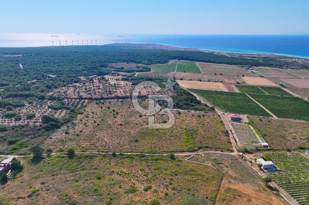 BOZCAADA OVA MEVKİİ'NDE DENİZE YAKIN 3710M2 SATILIK ARSA!